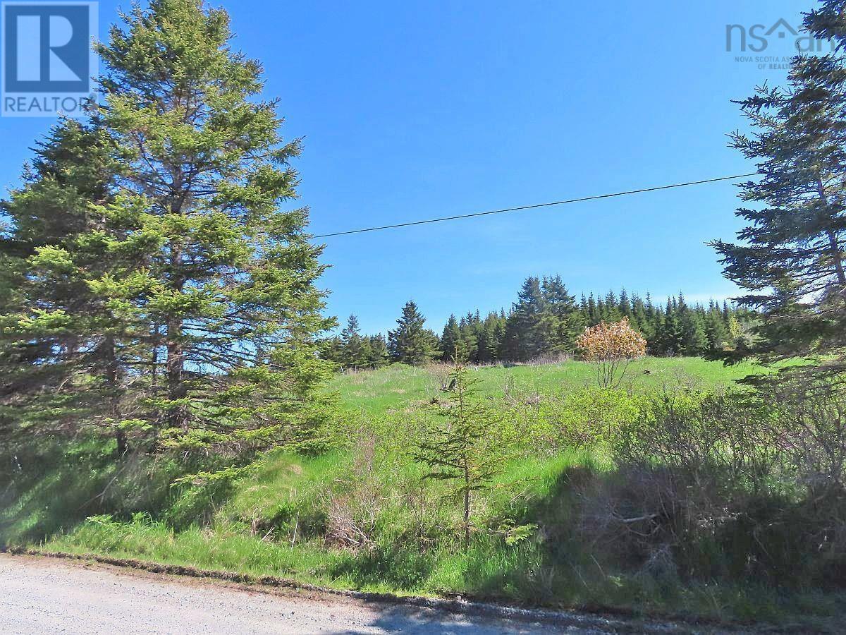Lot 4 Highway 4, Soldiers Cove, Nova Scotia  B0E 3B0 - Photo 3 - 202403879