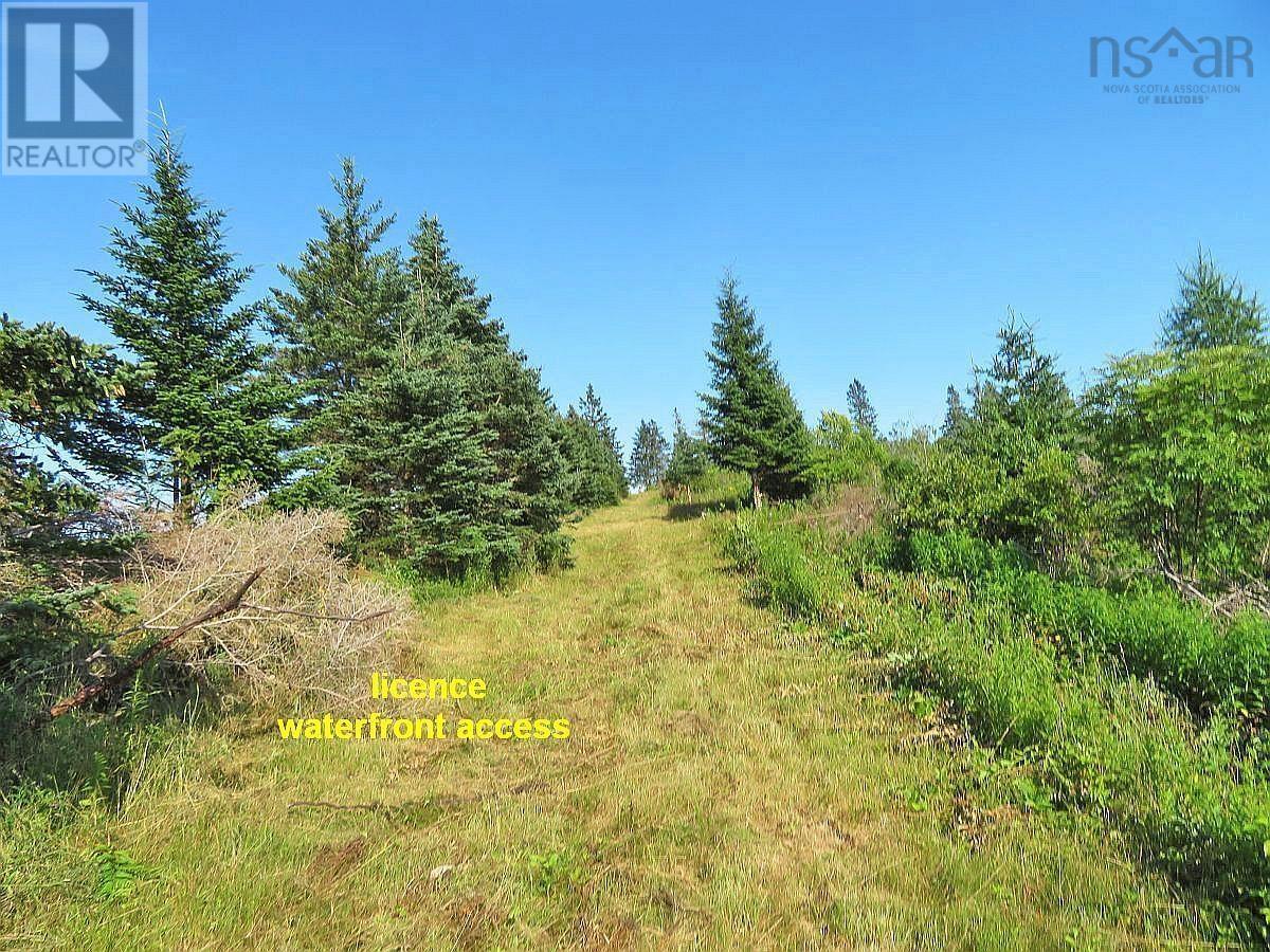 Lot 4 Highway 4, Soldiers Cove, Nova Scotia  B0E 3B0 - Photo 31 - 202403879