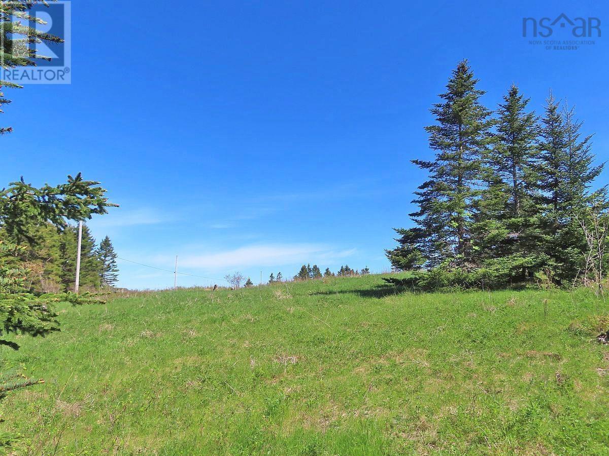Lot 4 Highway 4, Soldiers Cove, Nova Scotia  B0E 3B0 - Photo 6 - 202403879