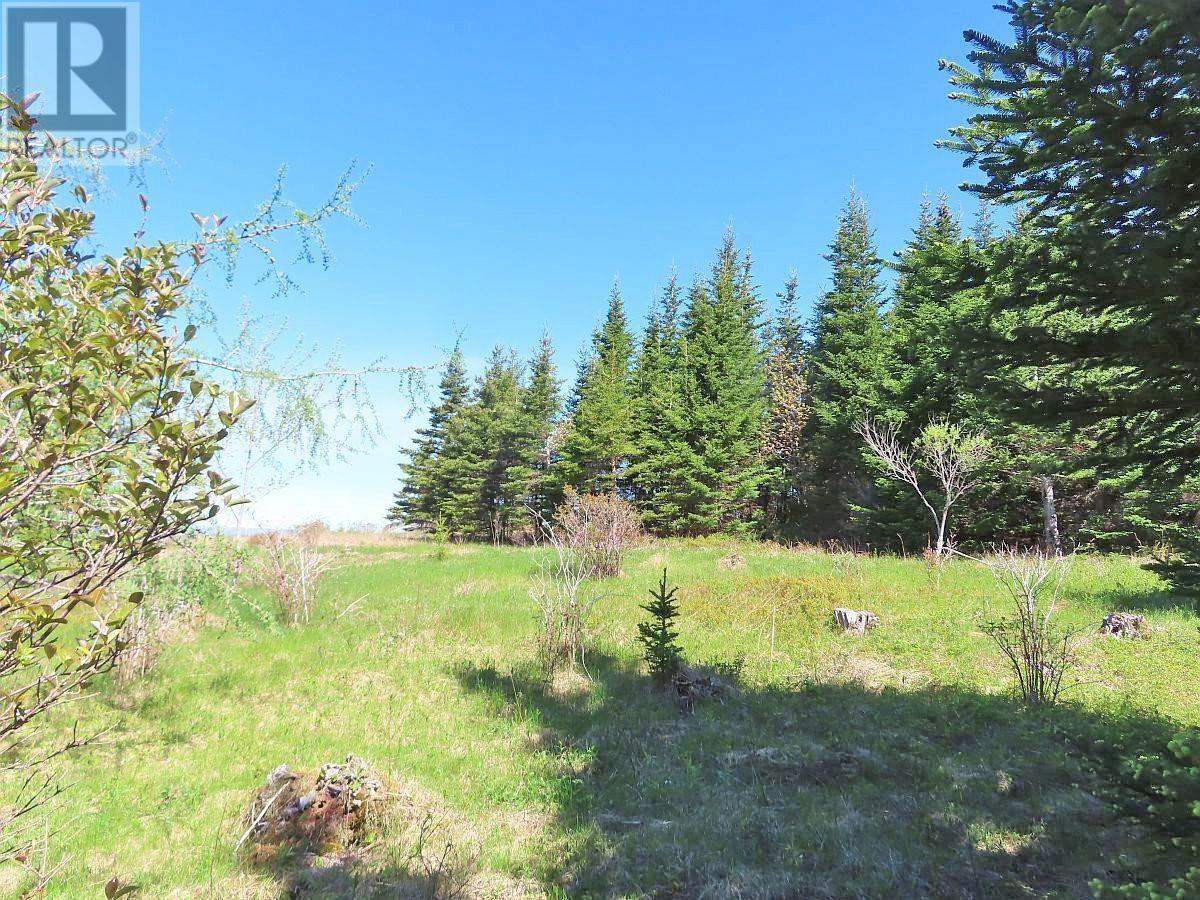 Lot 4 Highway 4, Soldiers Cove, Nova Scotia  B0E 3B0 - Photo 9 - 202403879