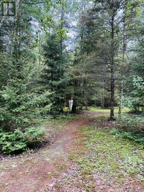 Pt 1, Plan 53r-20016 River Rd, Massey, Ontario  P0P 1P0 - Photo 13 - 2129075