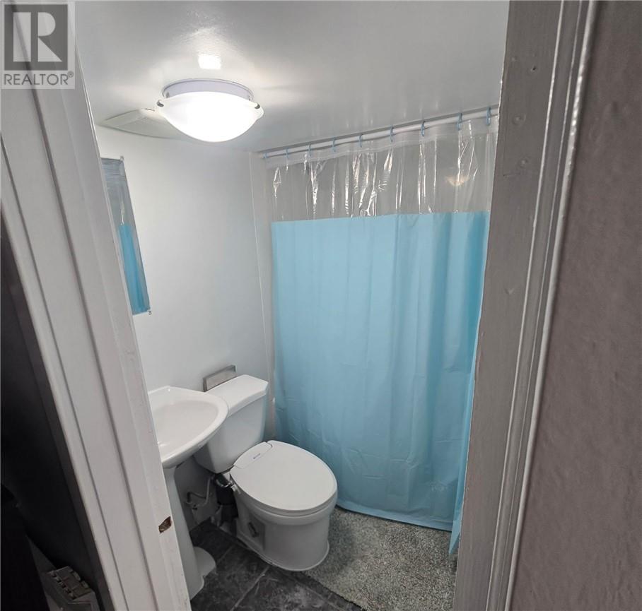 389 Ontario, Greater Sudbury, Ontario  P3E 4K3 - Photo 10 - 2129109