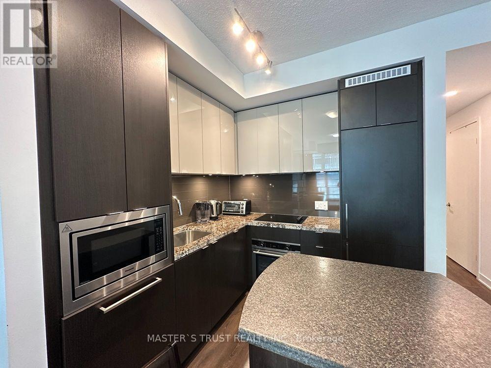 1110 - 125 Blue Jays Way, Toronto, Ontario  M5V 0N5 - Photo 12 - C13221314