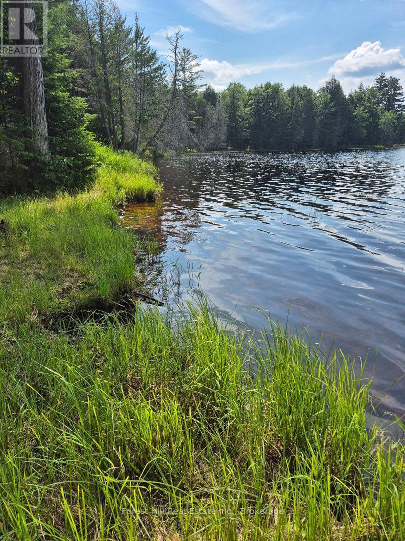 230 Baker Road S, Magnetawan, Ontario  P0A 1P0 - Photo 4 - X13552788