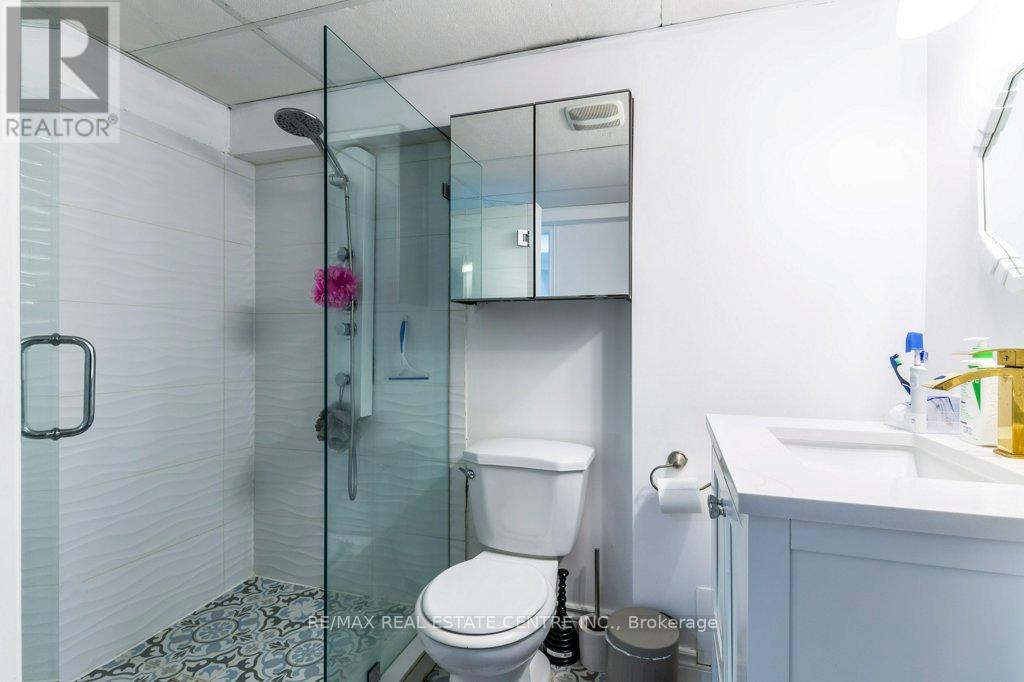 Basement - 252 Thorner Drive, Hamilton, Ontario  L8V 2M7 - Photo 7 - X13552768