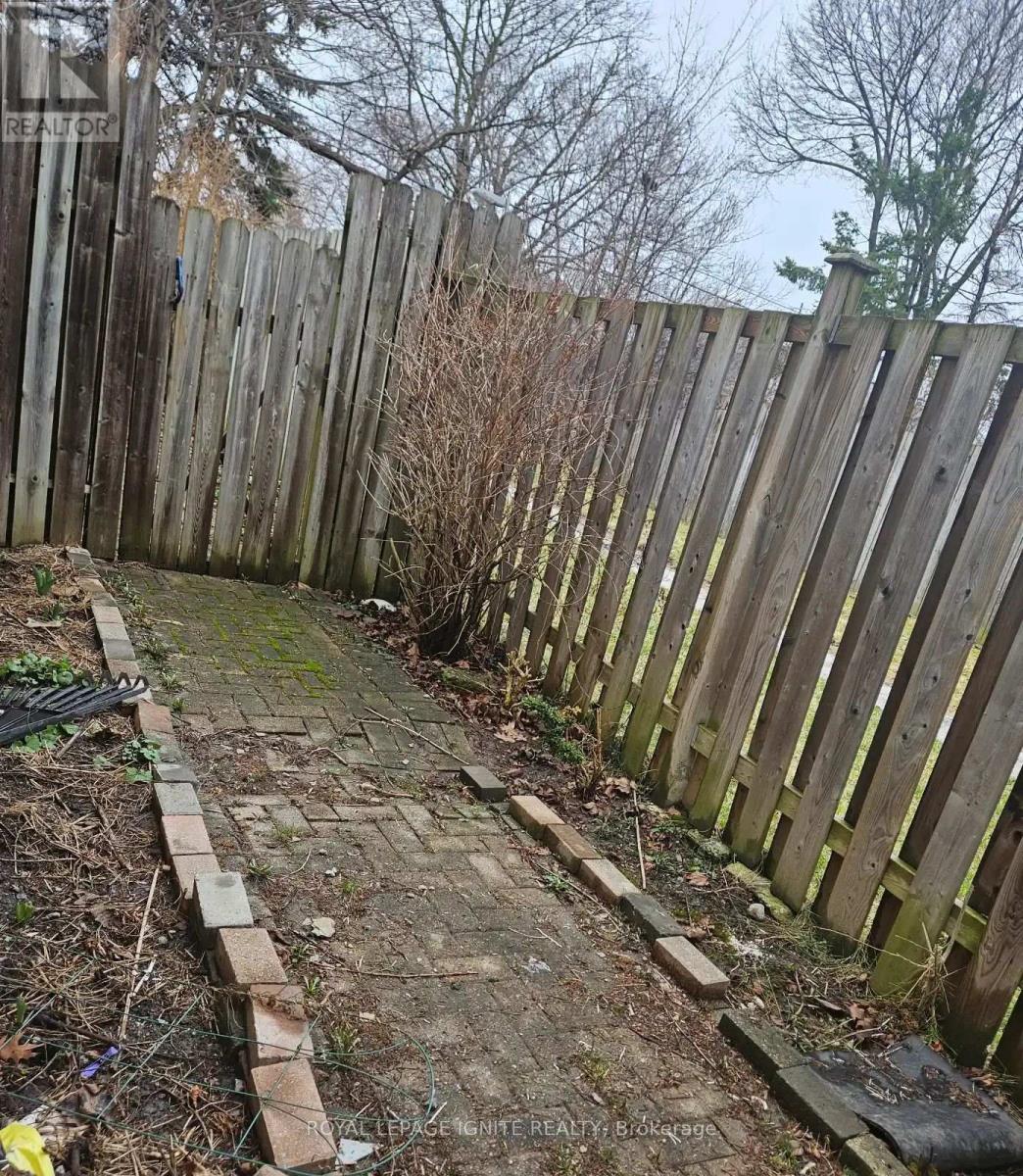 Bsmnt - 31 Benfrisco Crescent, Toronto, Ontario M1H 1N2 - Photo 3 - E13552882