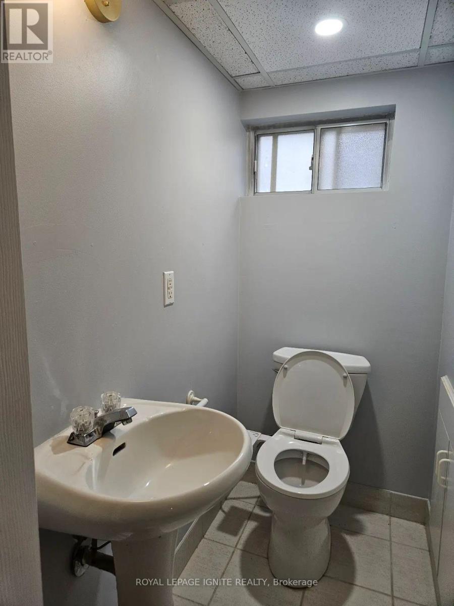 Bsmnt - 31 Benfrisco Crescent, Toronto, Ontario M1H 1N2 - Photo 11 - E13552882