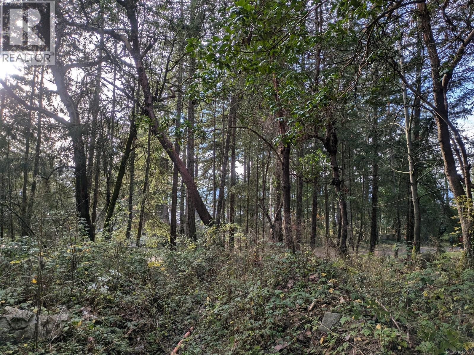 174 Pirates Lane, Protection Island, British Columbia  V9R 6R1 - Photo 8 - 1042939