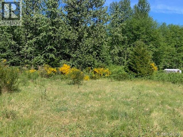 691 Kelsey Way, Sayward, British Columbia  V0P 1R0 - Photo 14 - 1042906