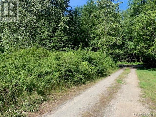 691 Kelsey Way, Sayward, British Columbia  V0P 1R0 - Photo 16 - 1042906
