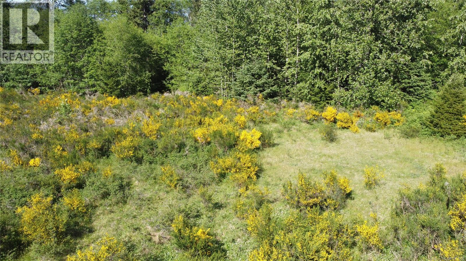 691 Kelsey Way, Sayward, British Columbia  V0P 1R0 - Photo 4 - 1042906