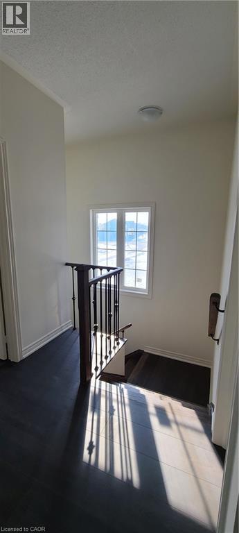 75 Kenesky Drive, Hamilton, Ontario  L8B 1Y4 - Photo 16 - 40847339
