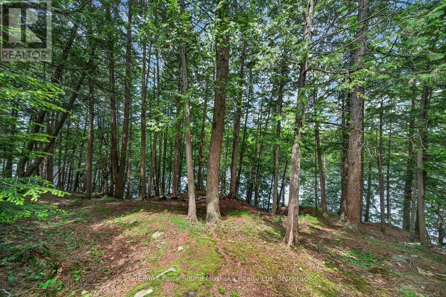 13 Labrash Lake Road, Whitestone, Ontario  P0A 1G0 - Photo 45 - X13150310
