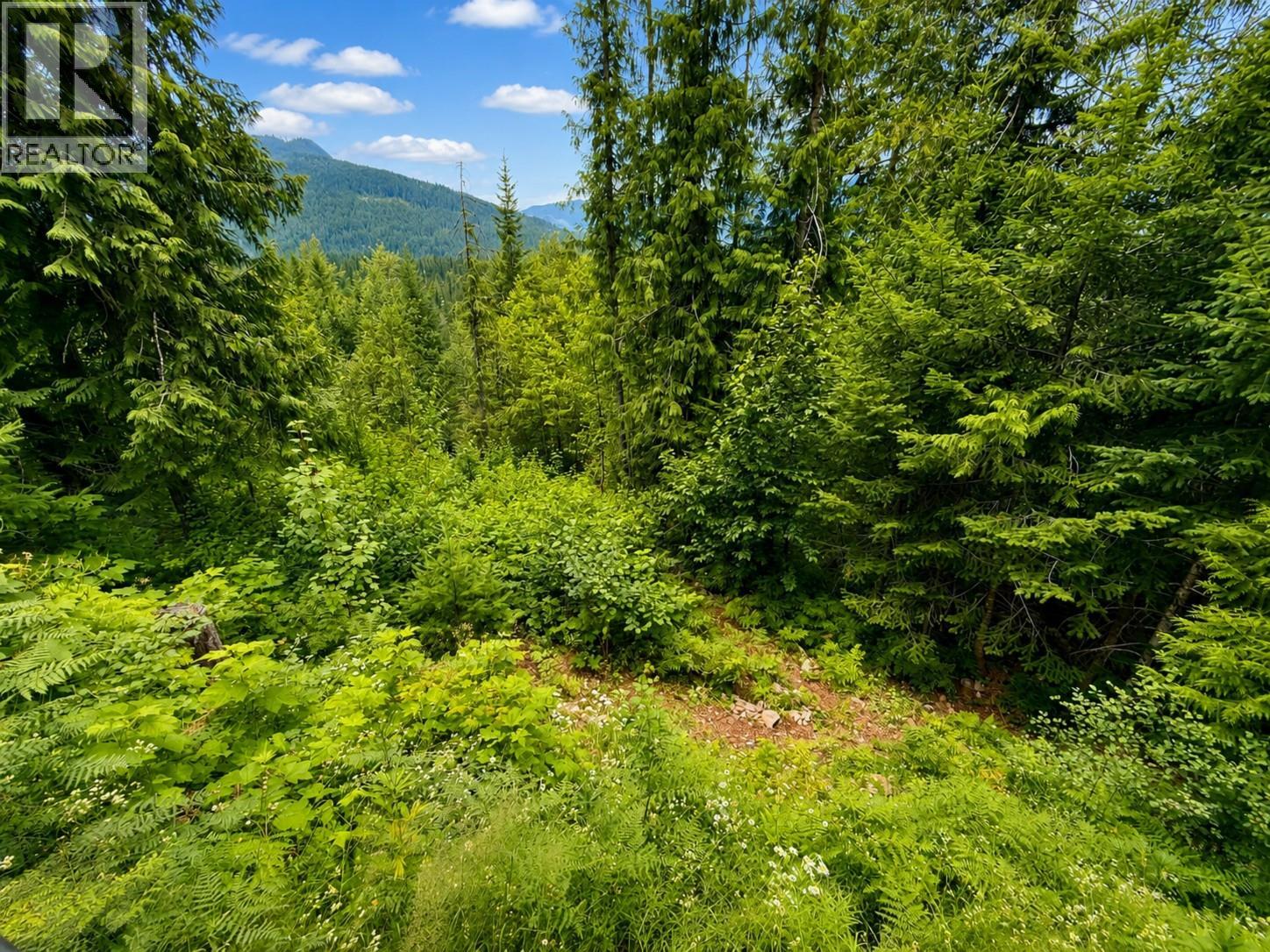 87 Dolly Varden Road, Enderby, British Columbia  V0E 1V1 - Photo 16 - 10394326