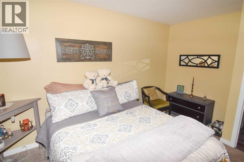 254 Maple Grove Crescent, Strathmore, Alberta  T1P 1G2 - Photo 26 - A2328500