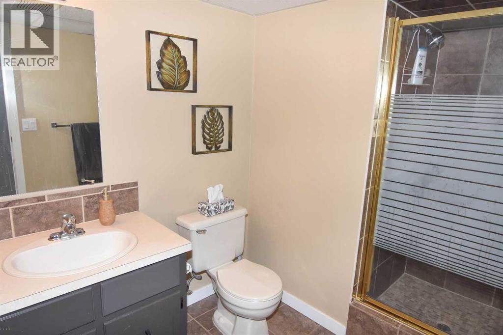 254 Maple Grove Crescent, Strathmore, Alberta  T1P 1G2 - Photo 39 - A2328500