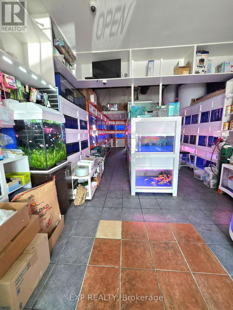 B10 - 4779 Steeles Avenue E, Toronto, Ontario  M1V 4S5 - Photo 8 - E13075198