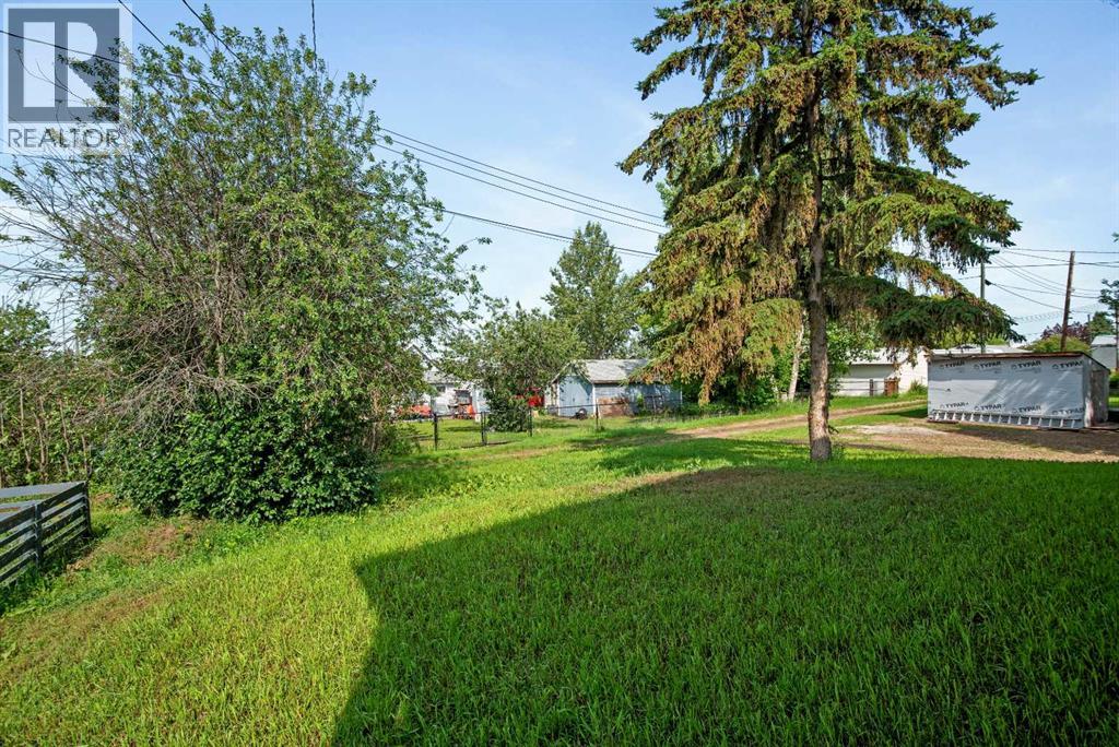 209 First Avenue S, Torrington, Alberta  T0M 2B0 - Photo 4 - A2328604