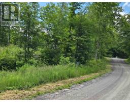 507 BLACK RIVER ROAD, Tweed, Ontario