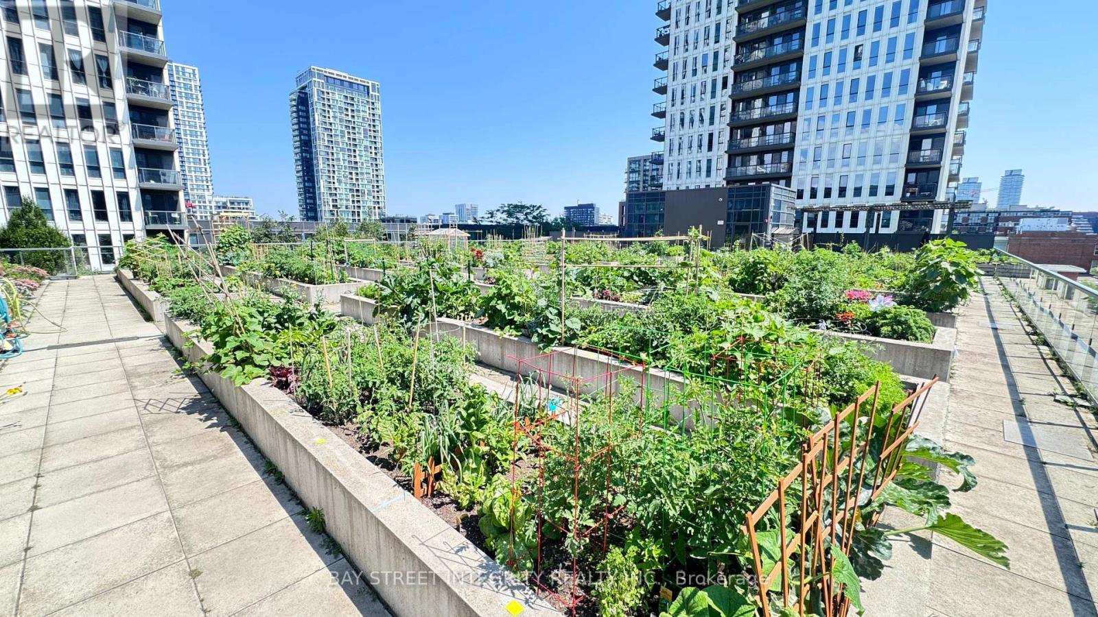 1713 - 55 Regent Park Boulevard, Toronto, Ontario  M5A 3H6 - Photo 29 - C13553752