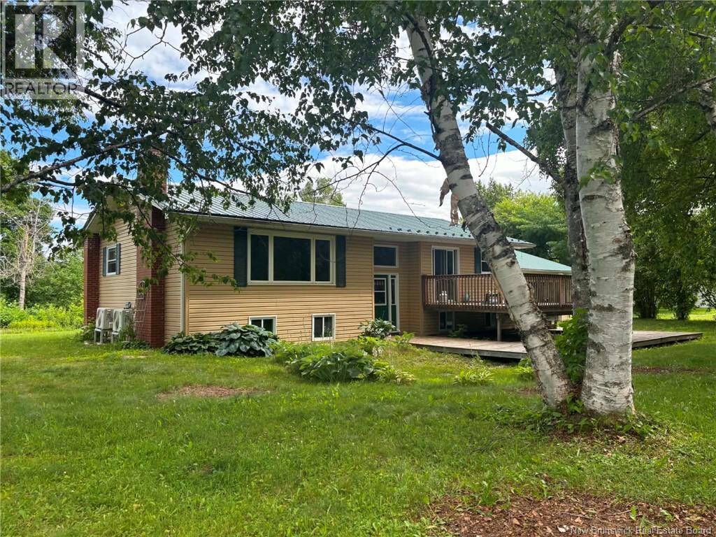 20 Chester, Wicklow