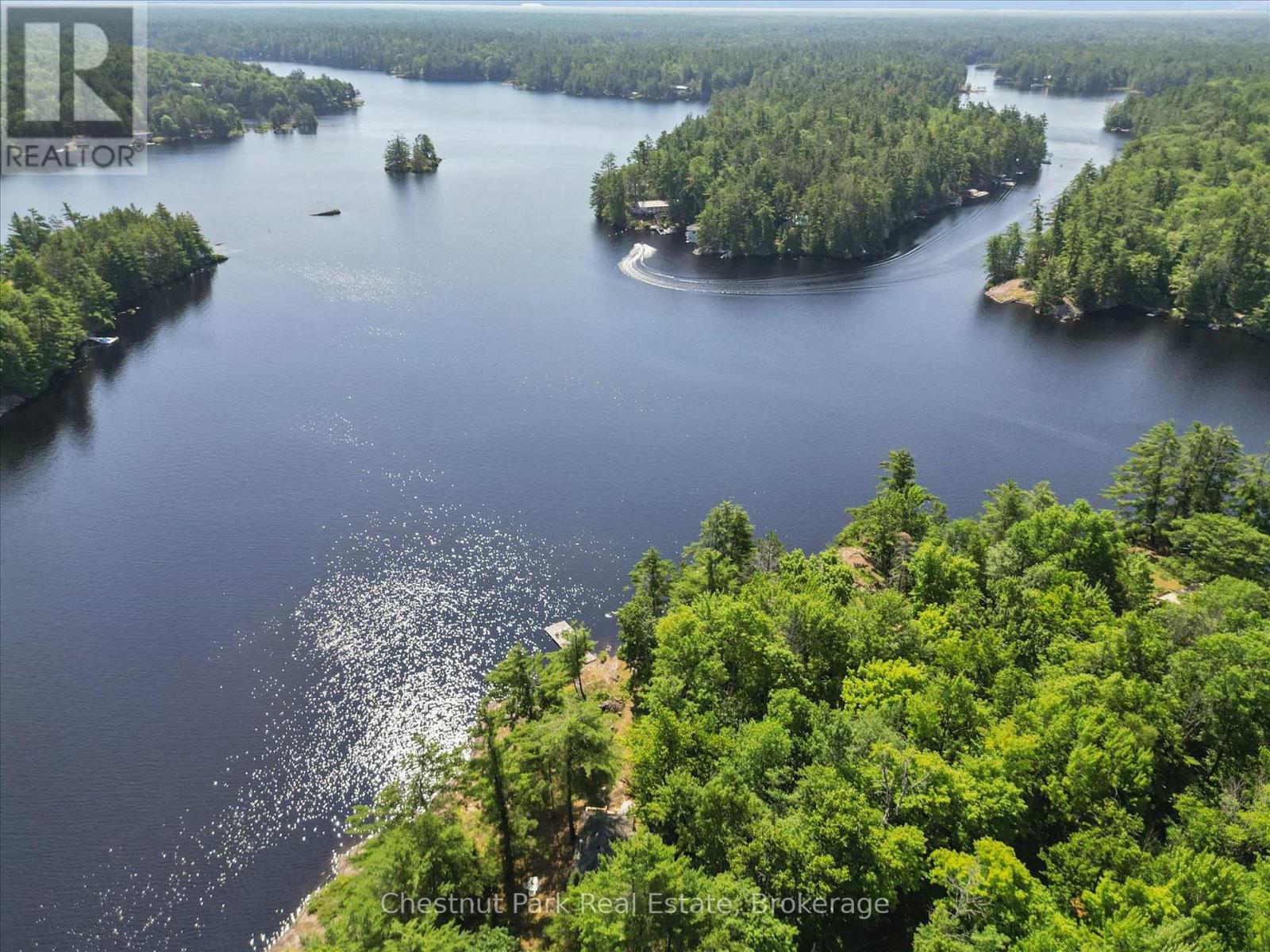1040 Fire 6c Route, Gravenhurst, Ontario  P1P 1R3 - Photo 2 - X13554564