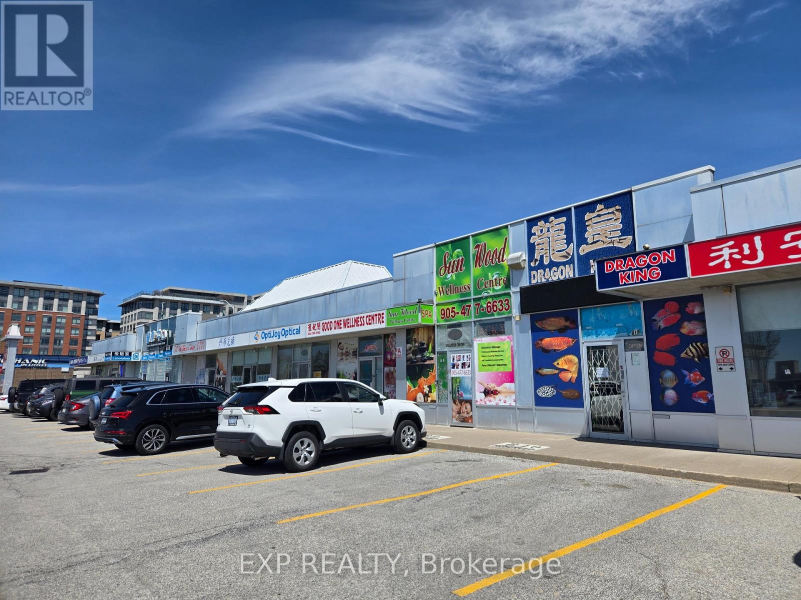 B10 - 4779 Steeles Avenue E, Toronto, Ontario  M1V 4S5 - Photo 3 - E13554558