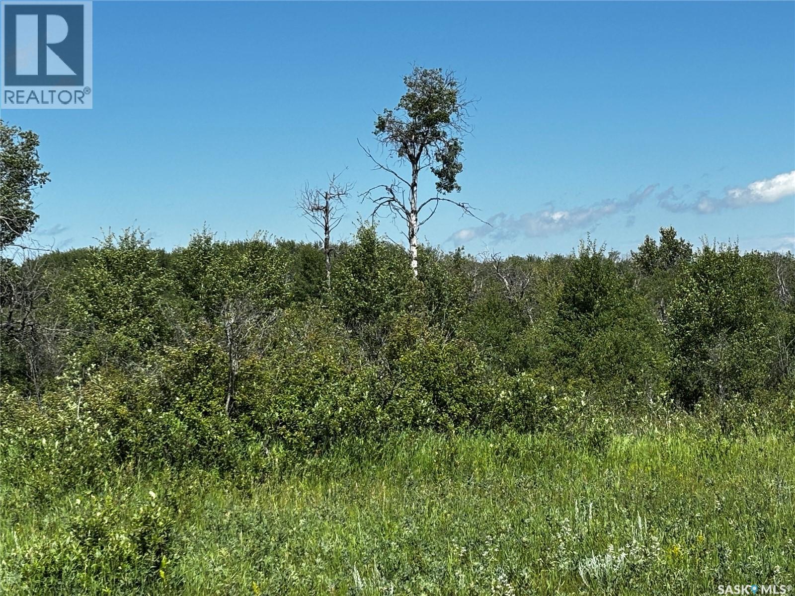 Sherbrooke Trail Land, Vanscoy Rm No. 345, Saskatchewan  S0K 3L0 - Photo 2 - SK042344