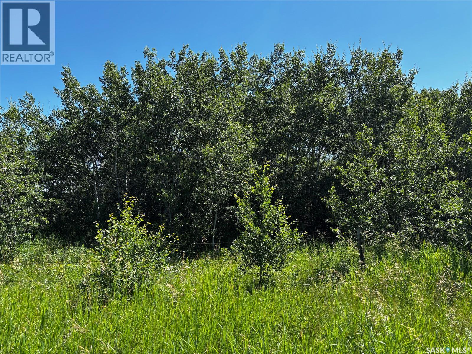 Sherbrooke Trail Land, Vanscoy Rm No. 345, Saskatchewan  S0K 3L0 - Photo 5 - SK042344