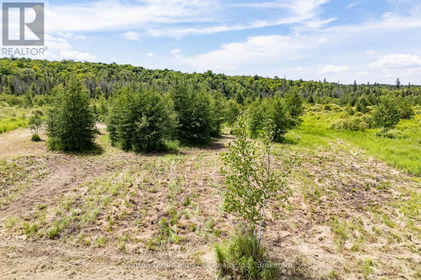 530 Clearwater Lake Road, Huntsville, Ontario  P0B 1L0 - Photo 17 - X13545654