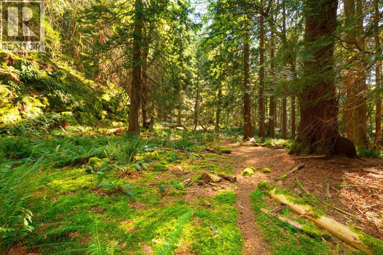 1587 Mount Gardner Road, Bowen Island, British Columbia  V0N 1G2 - Photo 22 - R3145378