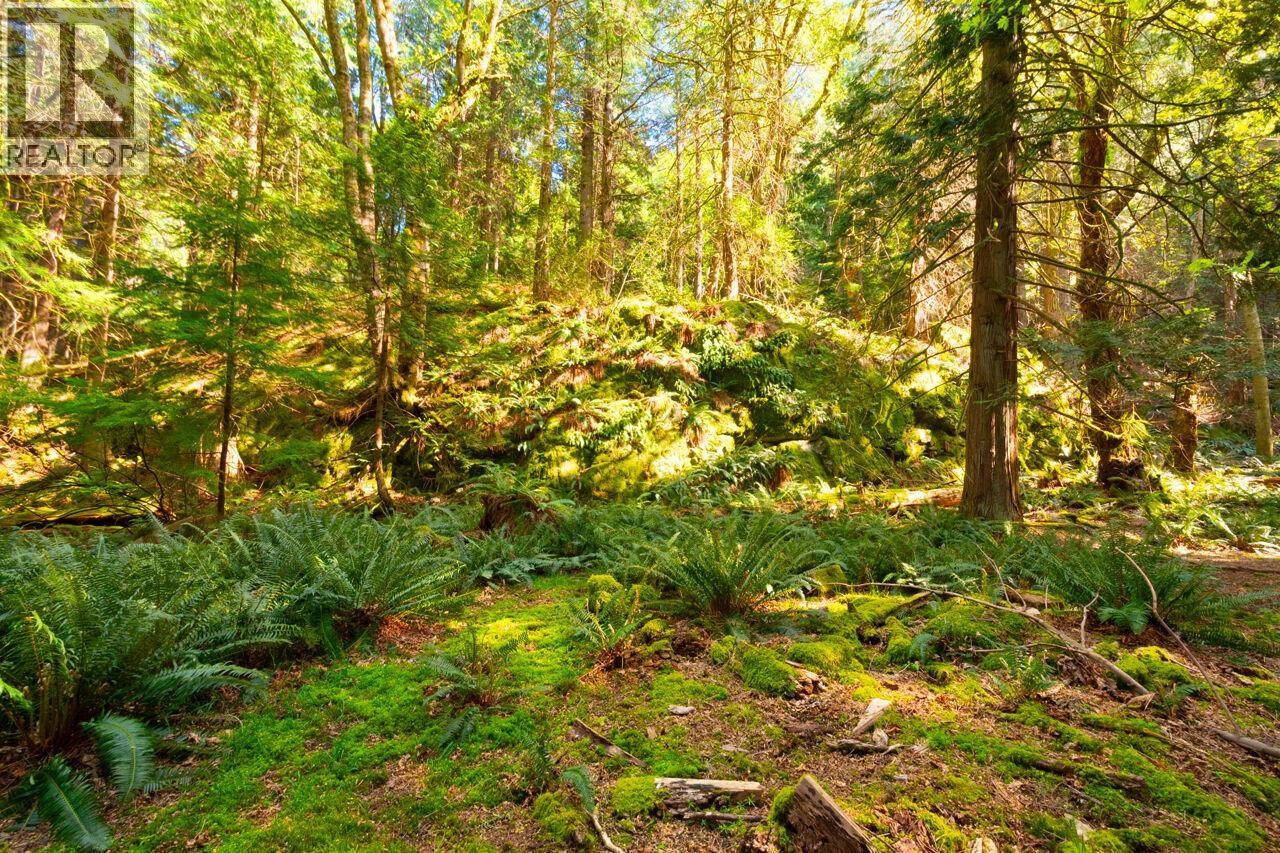 1587 Mount Gardner Road, Bowen Island, British Columbia  V0N 1G2 - Photo 23 - R3145378
