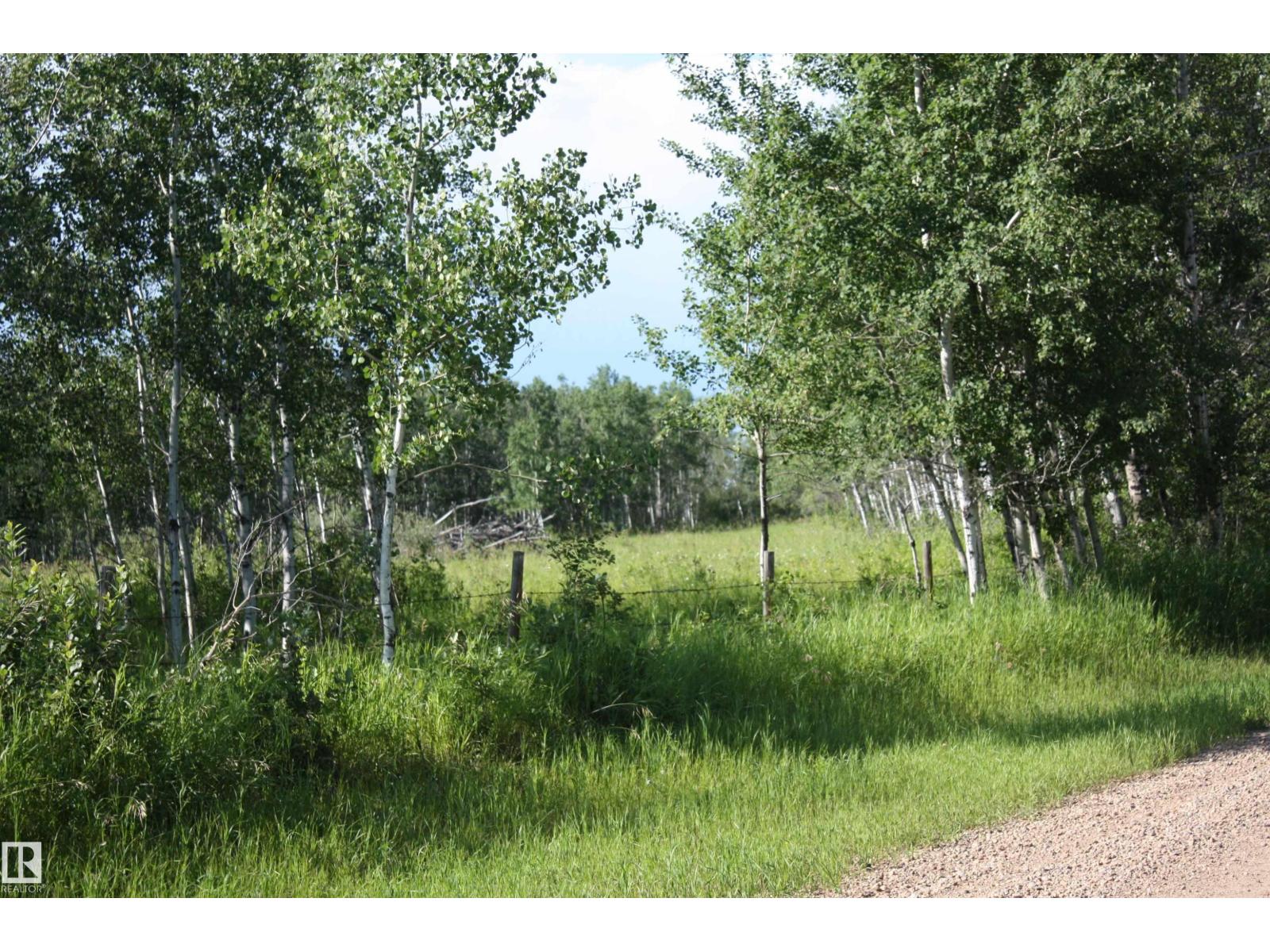 Rr 195 Victoria Trail, Rural Thorhild County, Alberta  T0A 2V0 - Photo 13 - E4498489