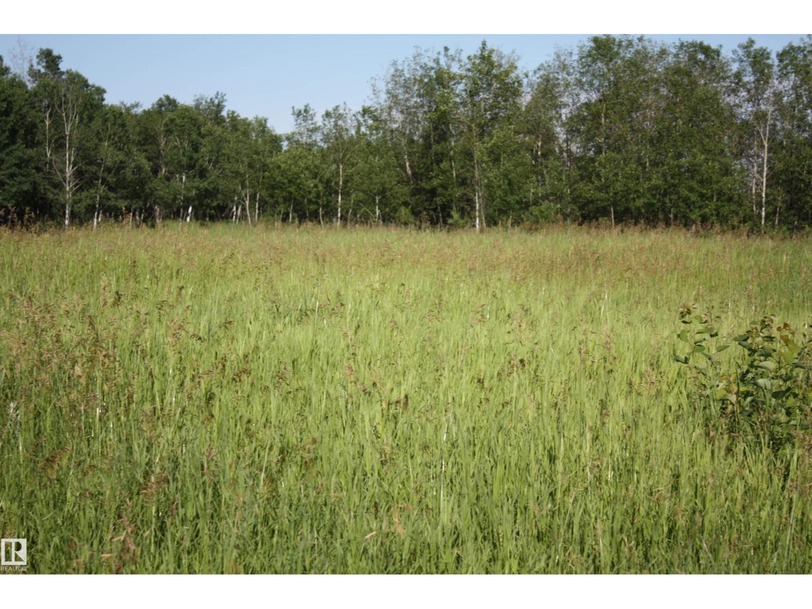 Rr 195 Victoria Trail, Rural Thorhild County, Alberta  T0A 2V0 - Photo 16 - E4498489