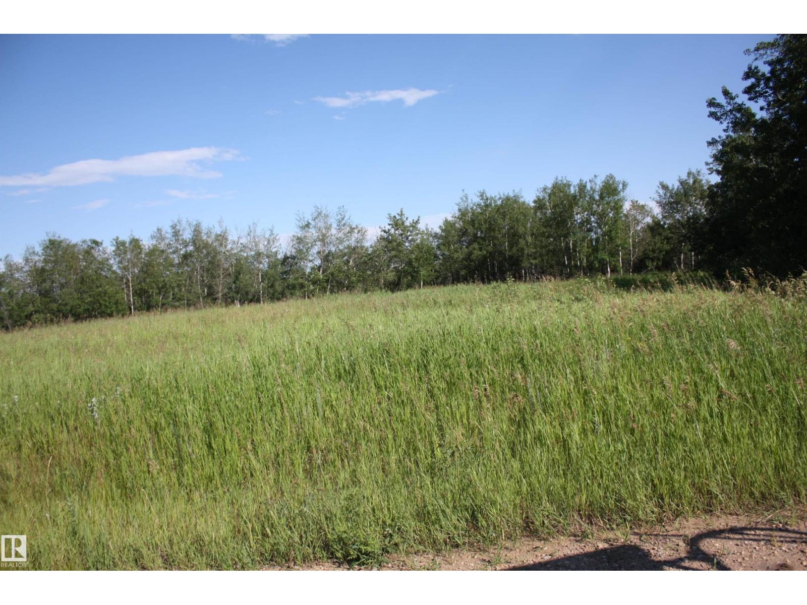 Rr 195 Victoria Trail, Rural Thorhild County, Alberta  T0A 2V0 - Photo 3 - E4498489