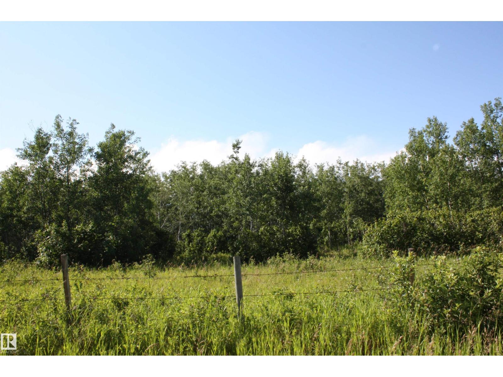 Rr 195 Victoria Trail, Rural Thorhild County, Alberta  T0A 2V0 - Photo 8 - E4498489