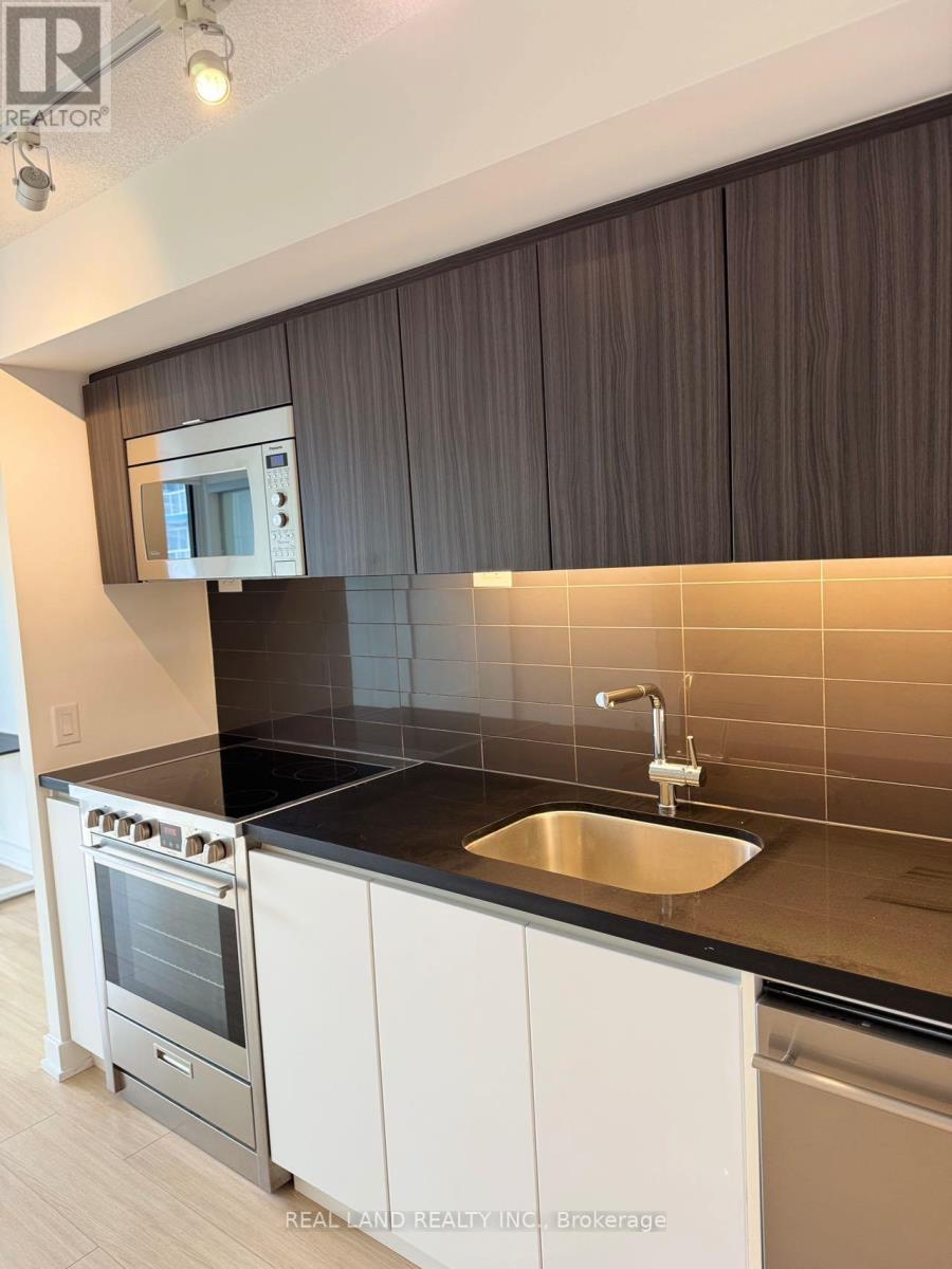 301 - 85 Queens Wharf Road, Toronto, Ontario  M5V 0J9 - Photo 2 - C13554844