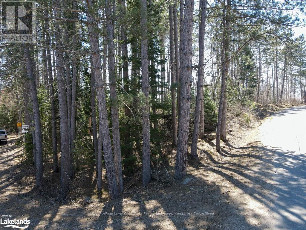 0 Hwy 518 W, Mcmurrich/monteith, Ontario  P0A 1Y0 - Photo 20 - X13554852