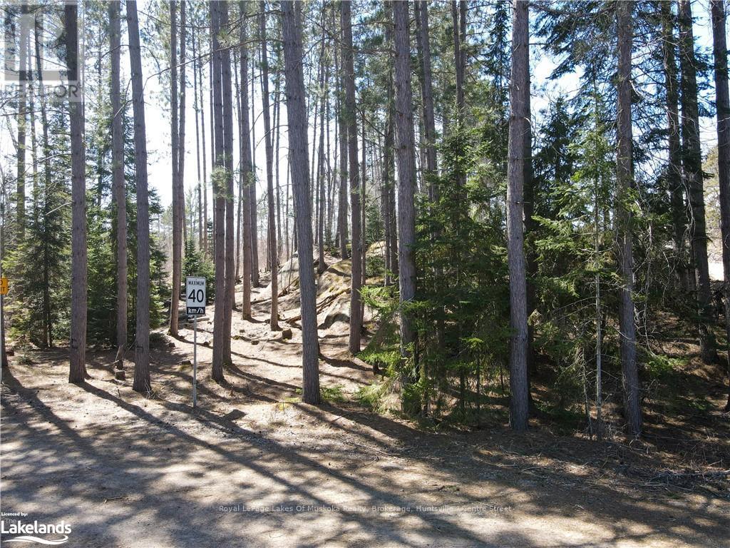 0 Hwy 518 W, Mcmurrich/monteith, Ontario  P0A 1Y0 - Photo 21 - X13554852