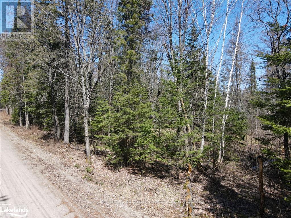 0 Hwy 518 W, Mcmurrich/monteith, Ontario  P0A 1Y0 - Photo 22 - X13554852