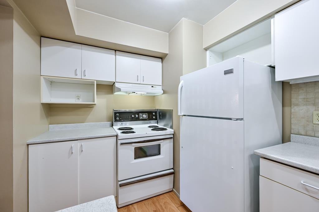 10509 Holly Park Lane Lane, Surrey, British Columbia  V3R 6X8 - Photo 12 - R3145408
