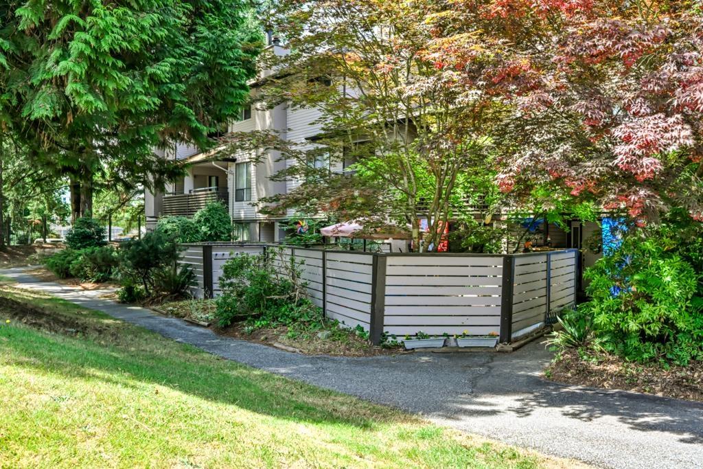 10509 Holly Park Lane Lane, Surrey, British Columbia  V3R 6X8 - Photo 29 - R3145408