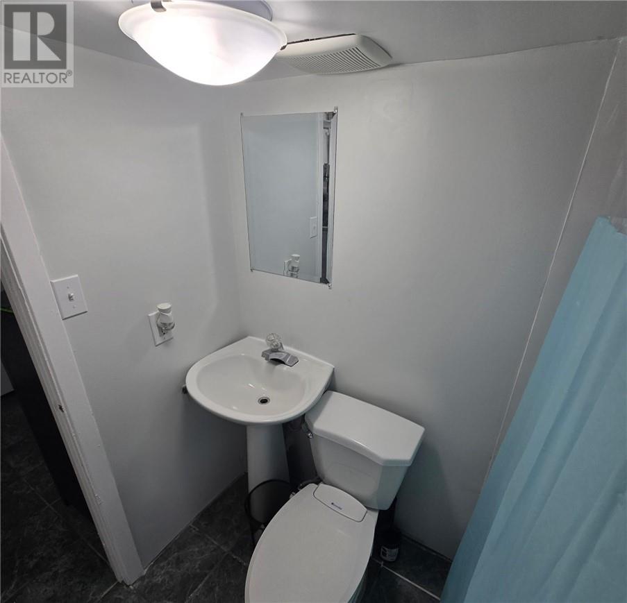 389 Ontario, Greater Sudbury, Ontario  P3E 4K3 - Photo 9 - 2129109
