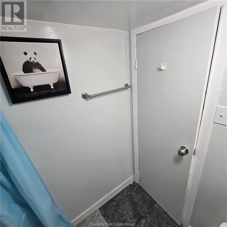 389 Ontario, Greater Sudbury, Ontario  P3E 4K3 - Photo 8 - 2129109