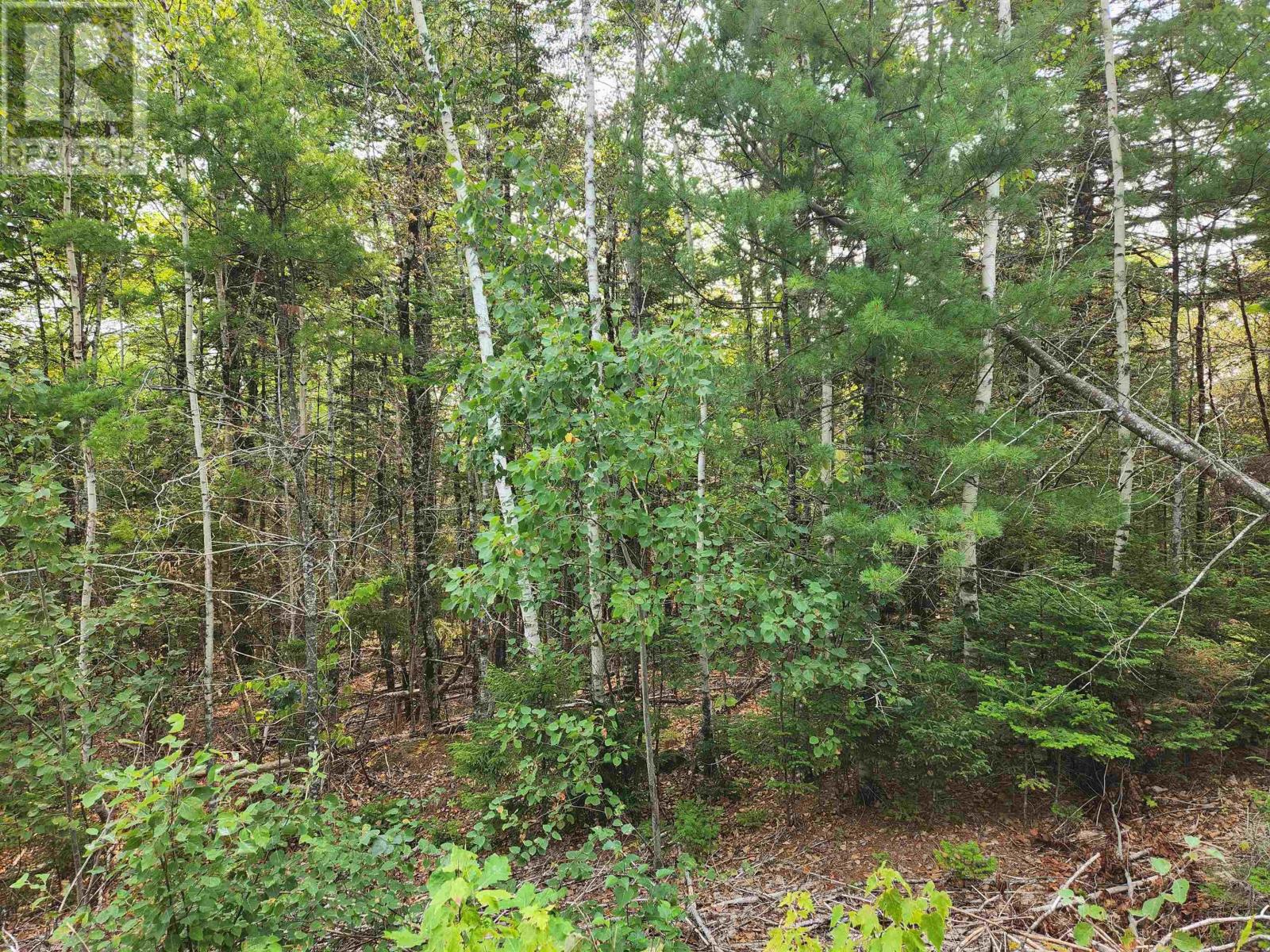 Lot 70 Turner Point Crossover, Walden, Nova Scotia  B0J 2E0 - Photo 5 - 202522698