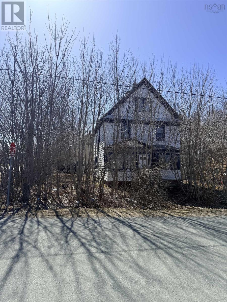 25 Queen Street, Sydney Mines, Nova Scotia  B1V 1L2 - Photo 22 - 202611659