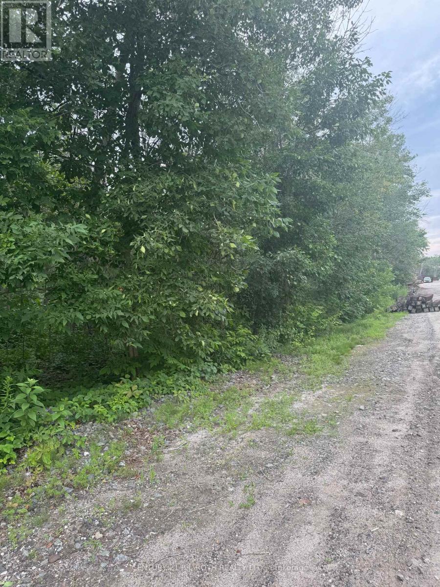 3330 Quetton Street, Severn, Ontario L0K 2B0 - Photo 3 - S13542530