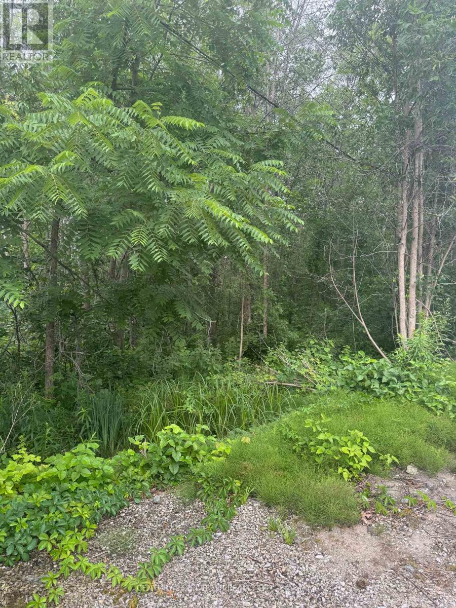 3330 Quetton Street, Severn, Ontario L0K 2B0 - Photo 2 - S13542530