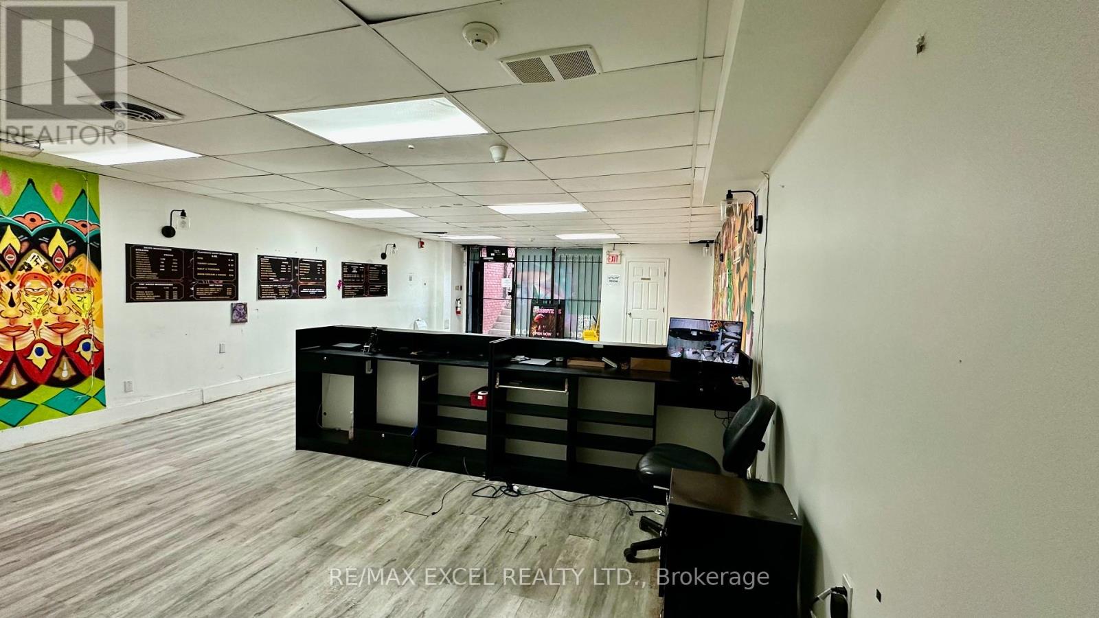 Lower - 357 Spadina Avenue, Toronto, Ontario M5T 2G3 - Photo 4 - C13555396