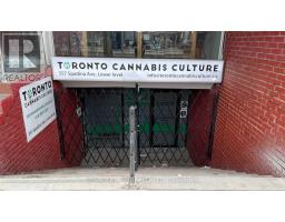 LOWER - 357 SPADINA AVENUE, Toronto, Ontario